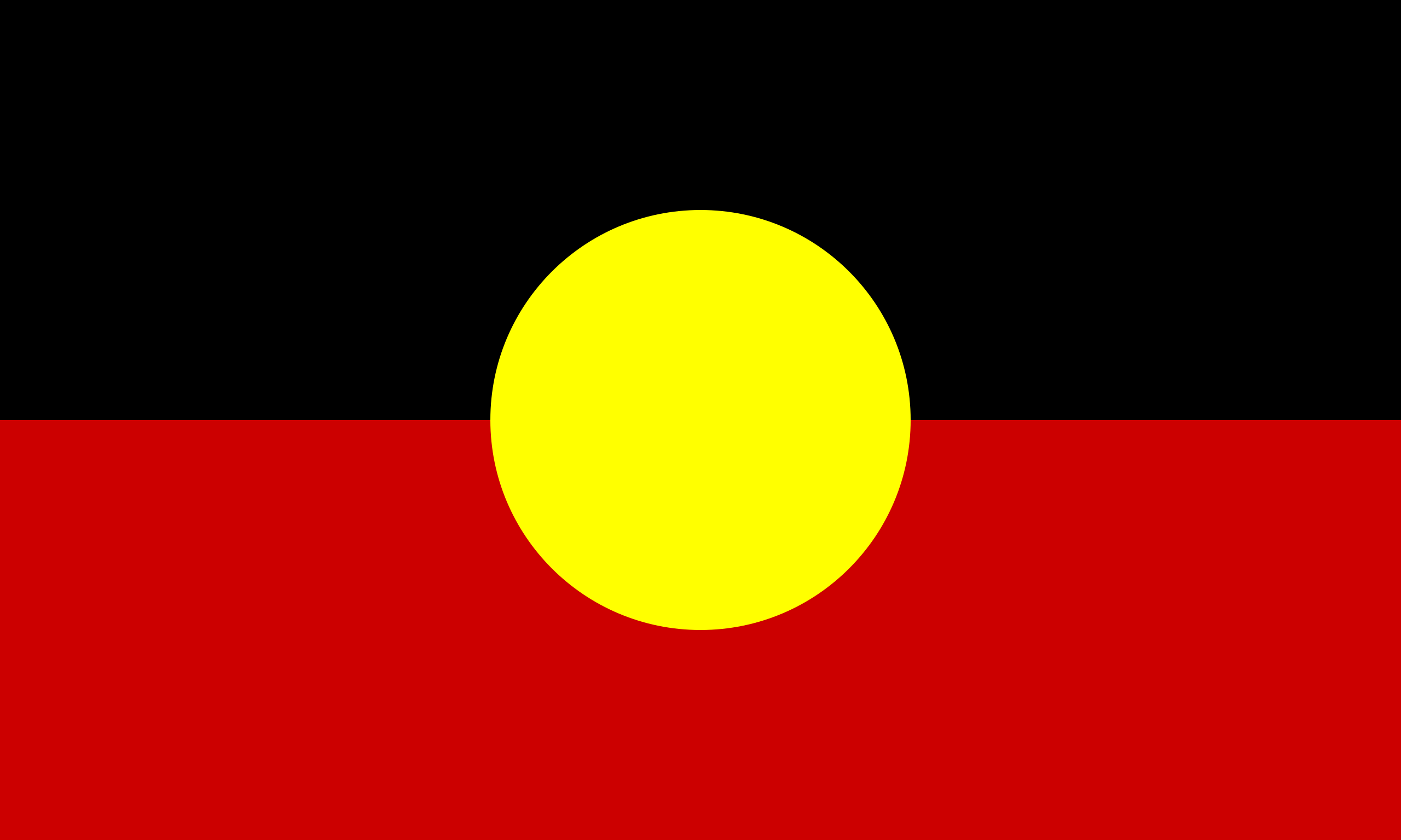 Inclusion Flags